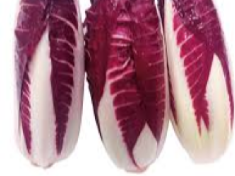 RADICCHIO SPADONE