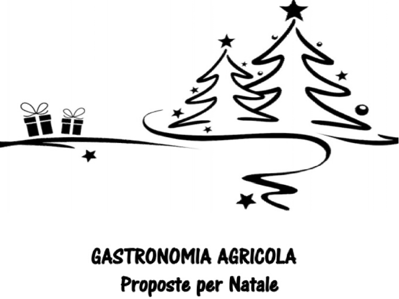 Gastronomia agricola  senza glutine proposte per Natale