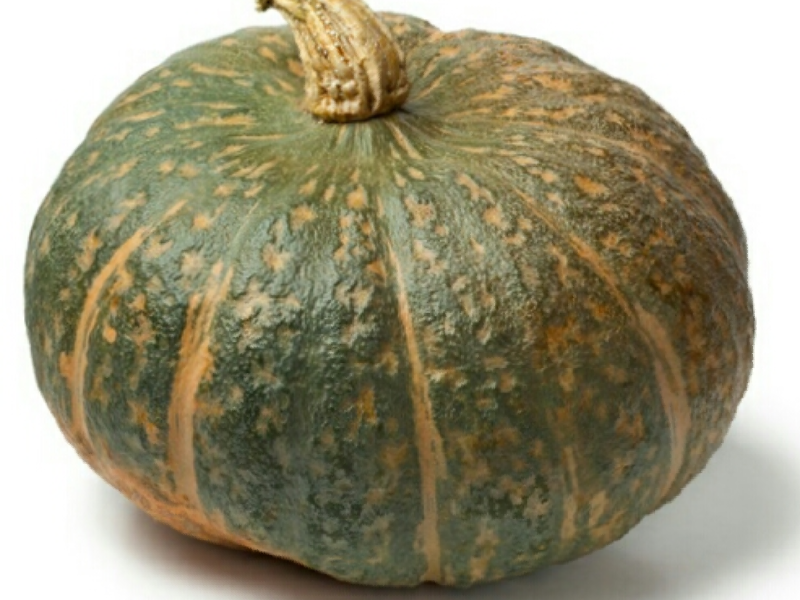 zucca delica 1/1,30 kg circa