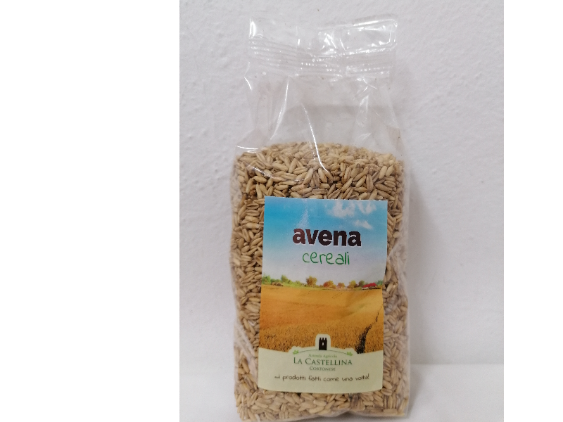 Avena